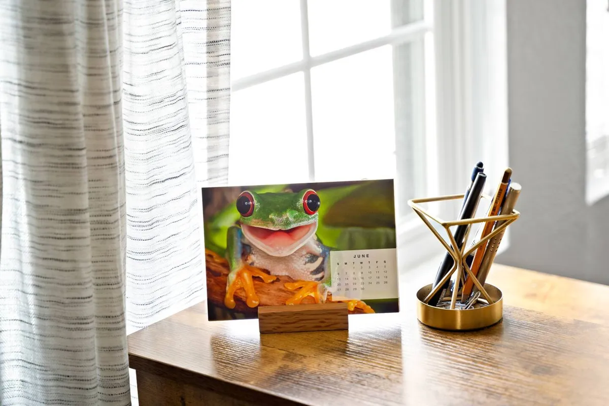 This image showcases a wooden desk positioned by a window with curtains, adorned with a playful frog-themed calendar. The space feels bright and inviting, signifying a cheerful, focused spot for planning, working, or studying.