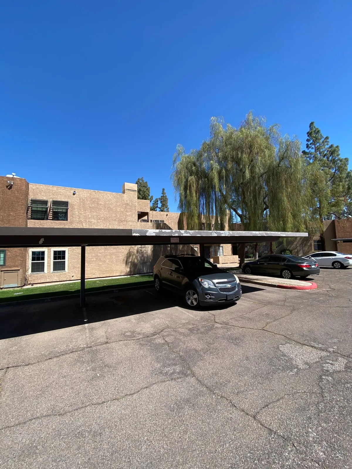 This exterior photo shows a shaded carport area with several parked vehicles, surrounded by landscaped trees. The scene conveys easy access for drivers and a relaxed, well-maintained environment suited to business travelers seeking convenience.